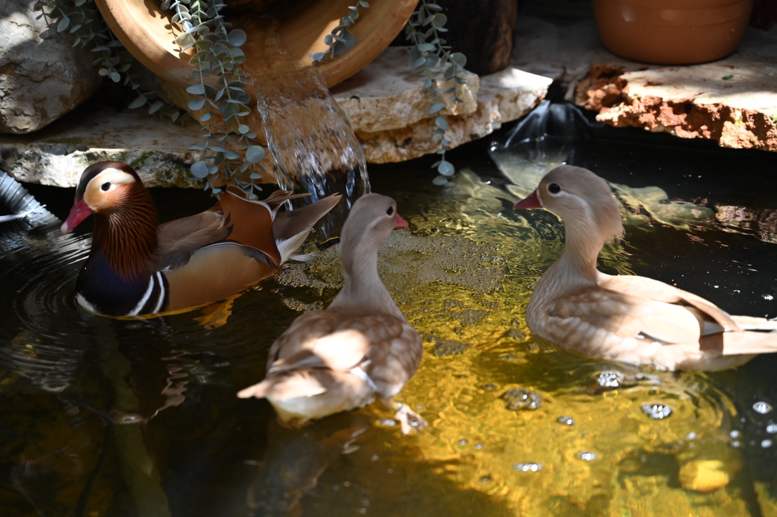 WhatsApp Image 2023-07-14 at 13.50.57.jpg